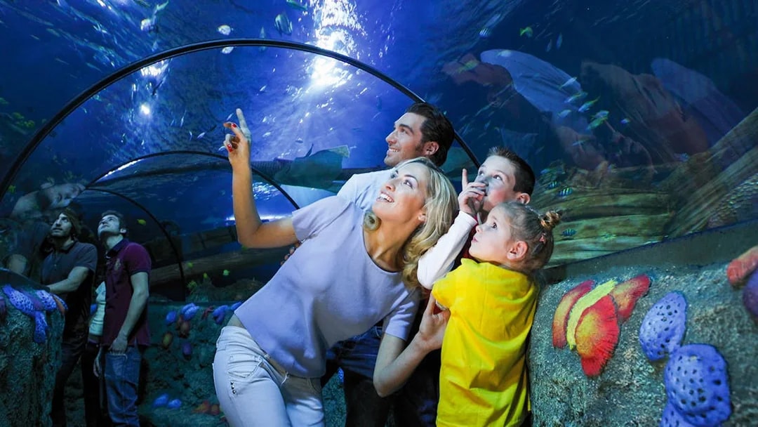 Mother and children observing fish in tunnel at Sea Life Aquarium, Verona.