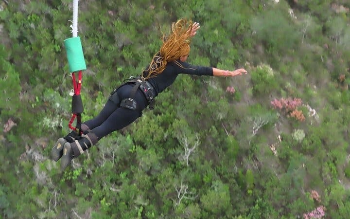 Garden Route Adventure Tour from Cape Town: Bungee Jump & Shark Cage Diving with Accommodation Image 6