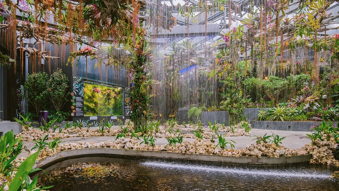 Gardens by the Bay's Floral Fantasy with lush plants and cascading water features.
