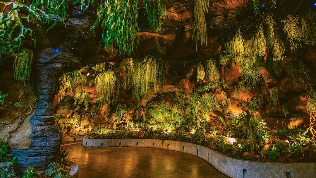 Floral Fantasy Singapore indoor garden with lush hanging plants and illuminated pathway.