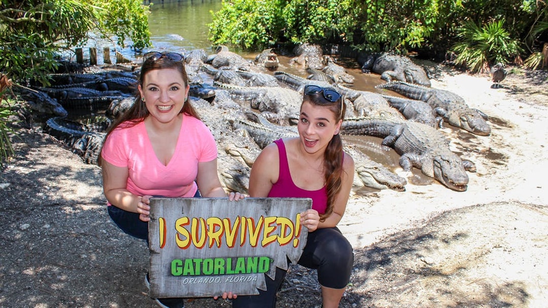 Visitors holding "I Survived" sign with alligators in Gatorland, Orlando.