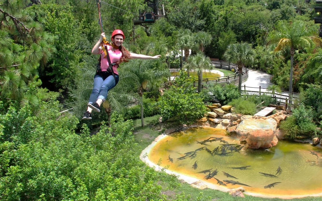 Gatorland Skip-the-Line Tickets Image 7