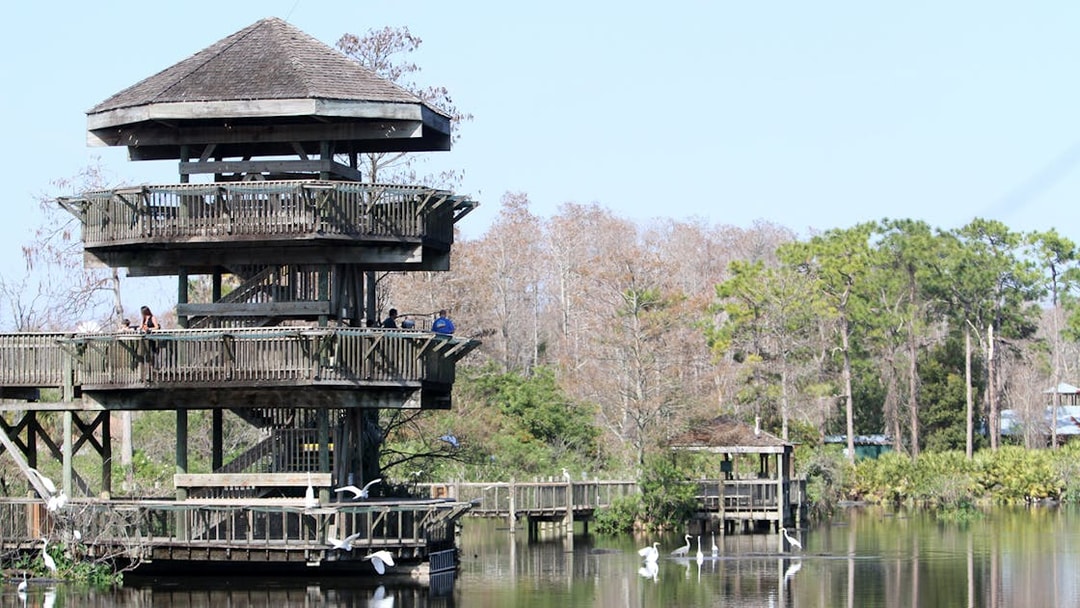 Observation tower overlooking a lake with birds at Gatorland, Florida.