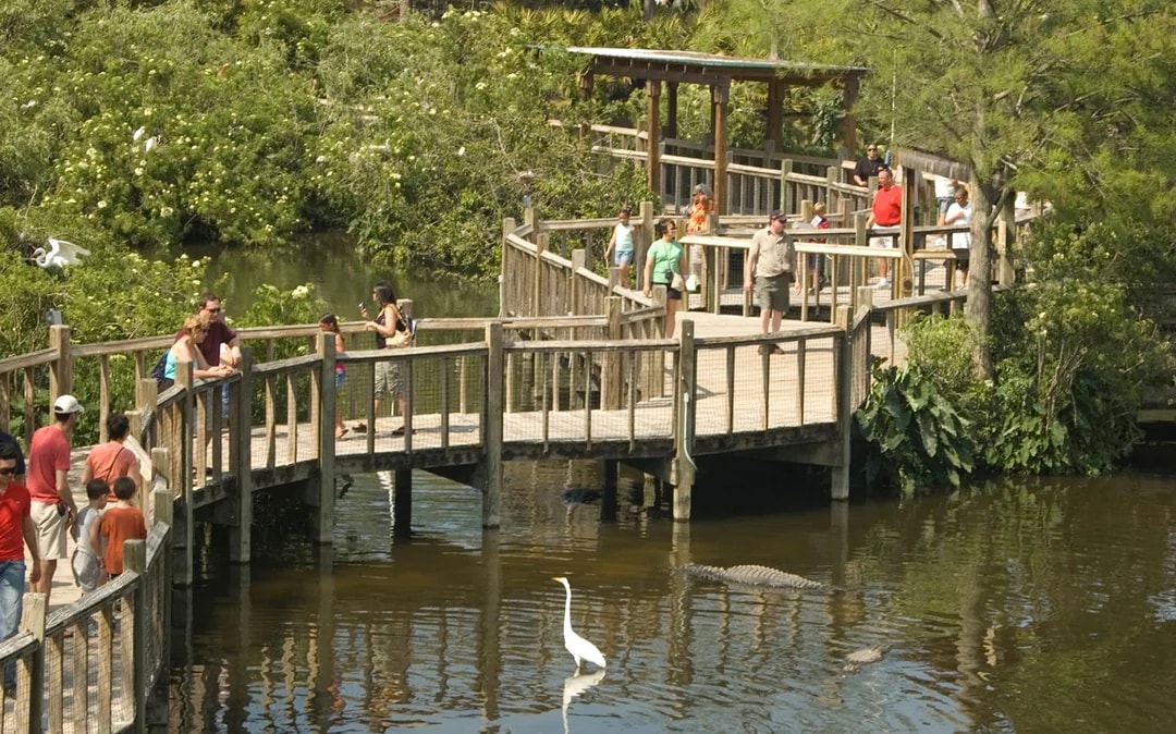 Gatorland Skip-the-Line Tickets Image 9