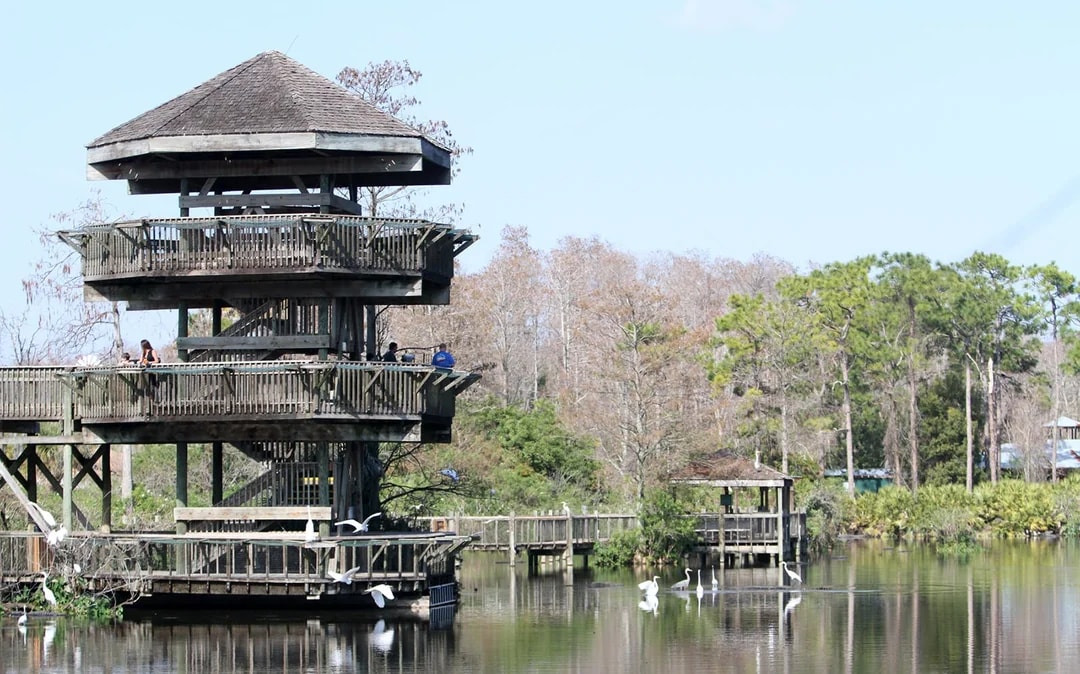 Gatorland Skip-the-Line Tickets Image 10