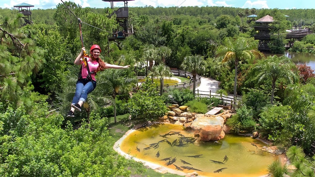 Tourist zip lining over Alligator Breeding Marsh surrounded by lush greenery.