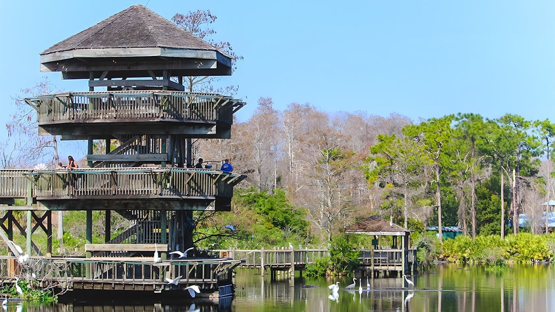 Observation tower at Gatorland with zip line access over a scenic wetland in Florida.
