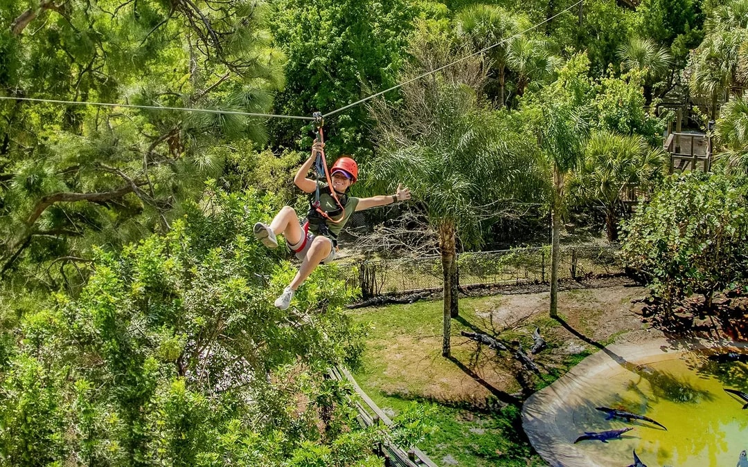 Gatorland Tickets with Screamin’ Gator Zip Line Access Image 6