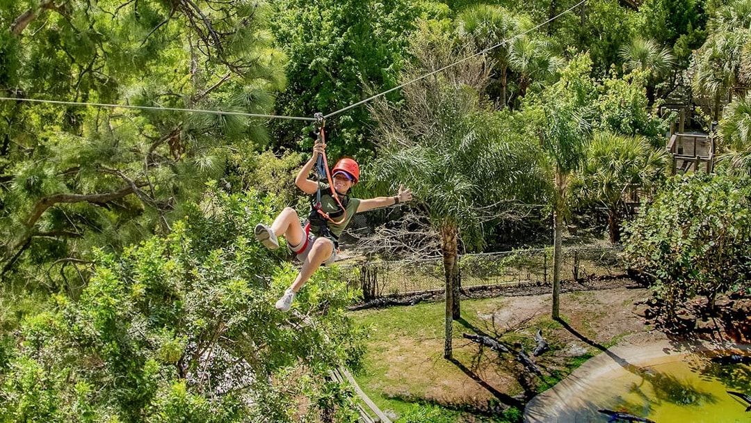 Tourist zip lining over alligator habitat at Gatorland, Florida.