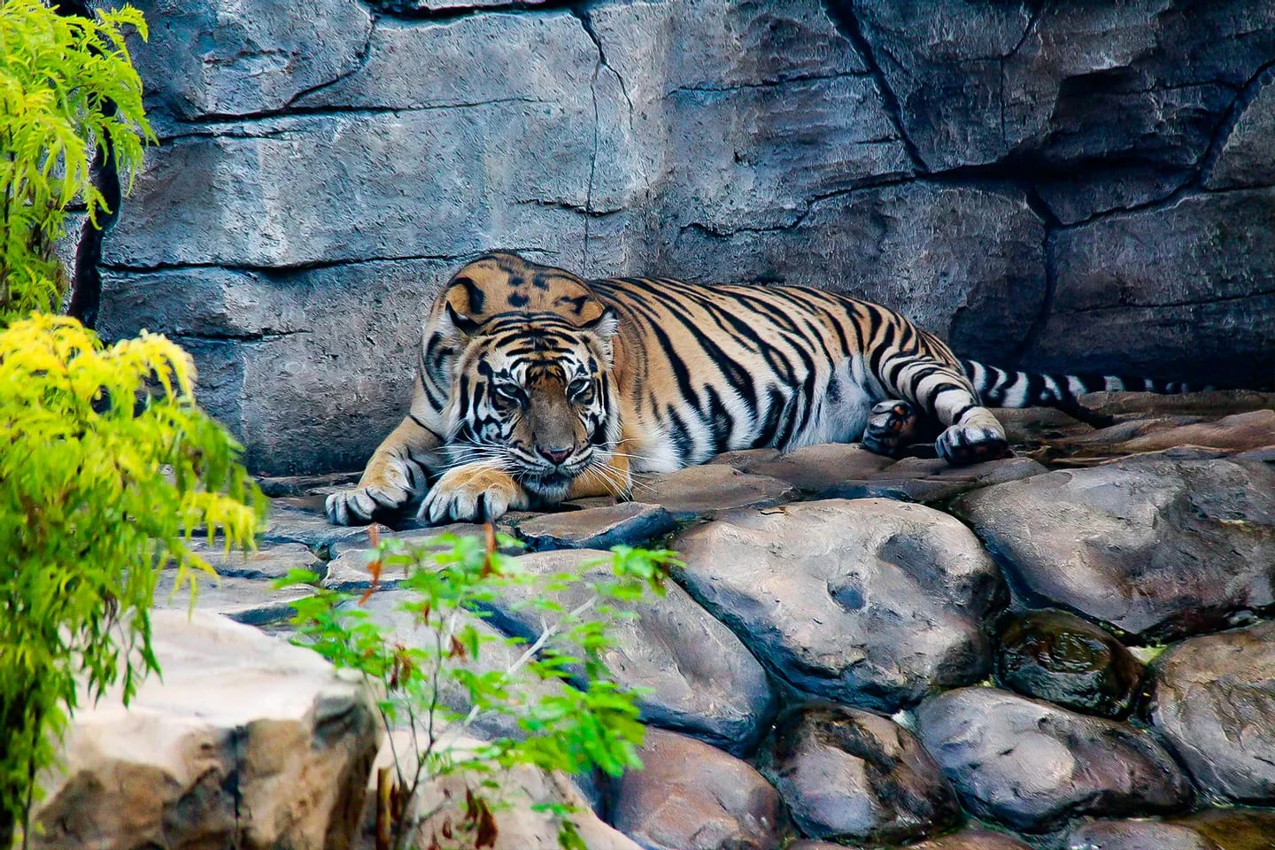Gembira Loka Zoo Yogyakarta experience image 3