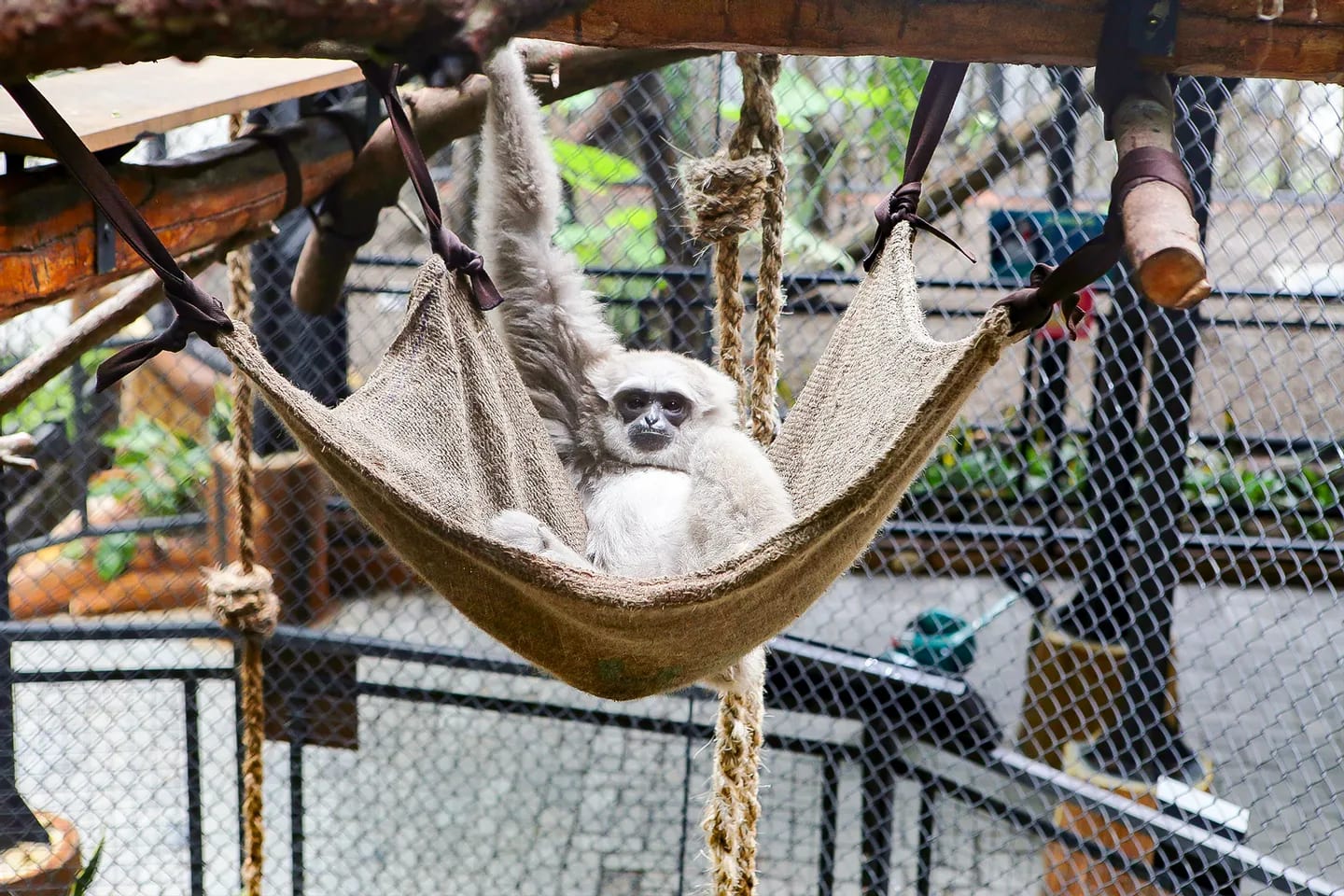 Gembira Loka Zoo Yogyakarta