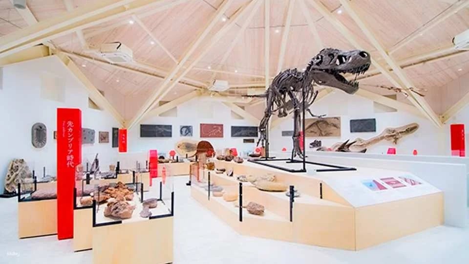 Genbudo Museum Ticket Reservation (Toyooka City, Hyogo Prefecture, Museum)