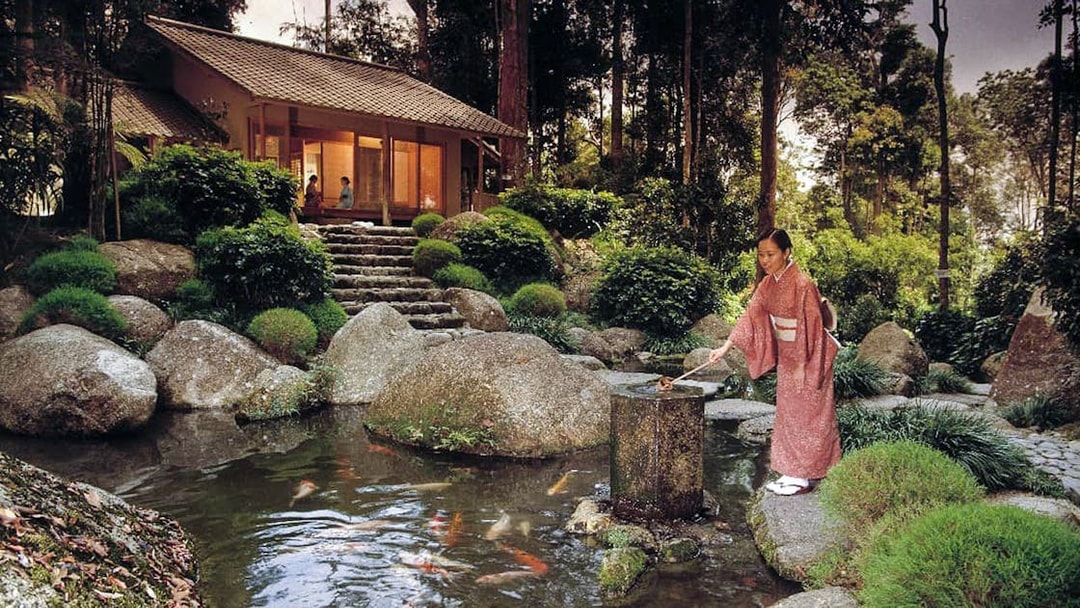 Japanese woman in kimono by koi pond in tranquil village garden.