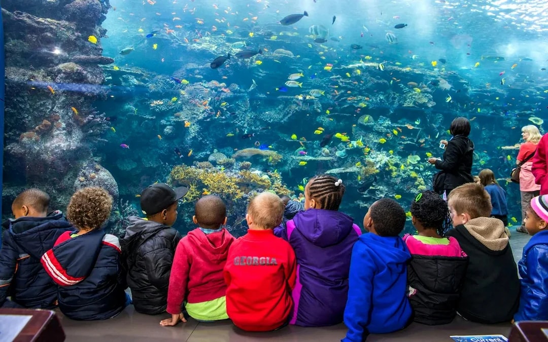Georgia Aquarium Skip-the-Line Tickets Image 4