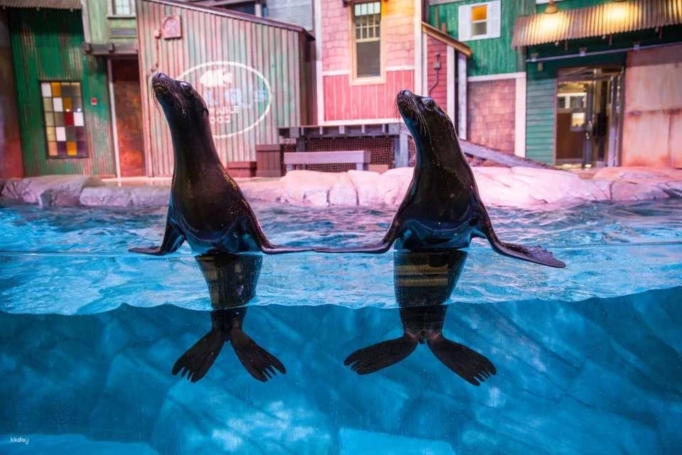 Georgia Aquarium Ticket | Atlanta