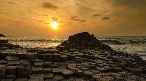 Belfast day tour to Giant's Causeway and The Dark Hedges - visit Game of Thrones filming locations