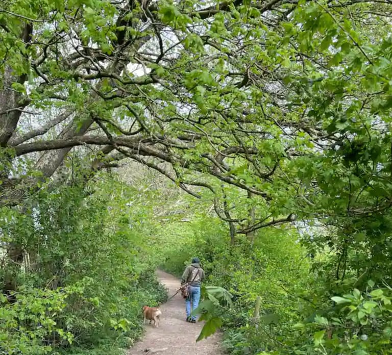 Glastonbury: Guided Tour of Avalon with Celtic Shaman