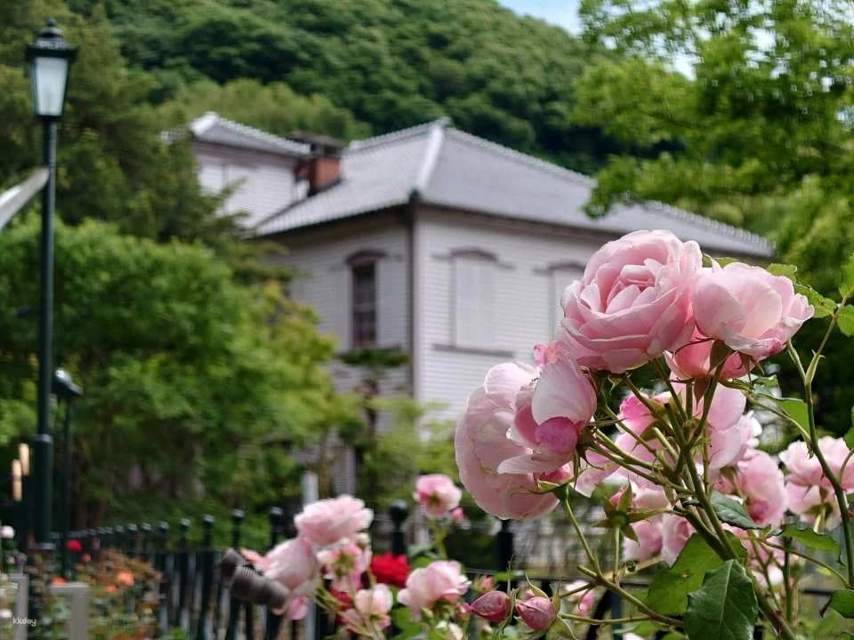 Glover Garden admission ticket (Nagasaki Prefecture)