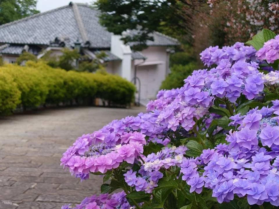 Glover Garden admission ticket (Nagasaki Prefecture)