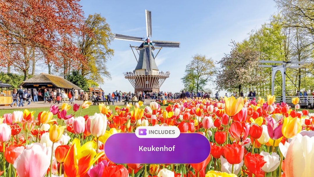 Keukenhof tulip garden with windmill and visitors in Amsterdam.