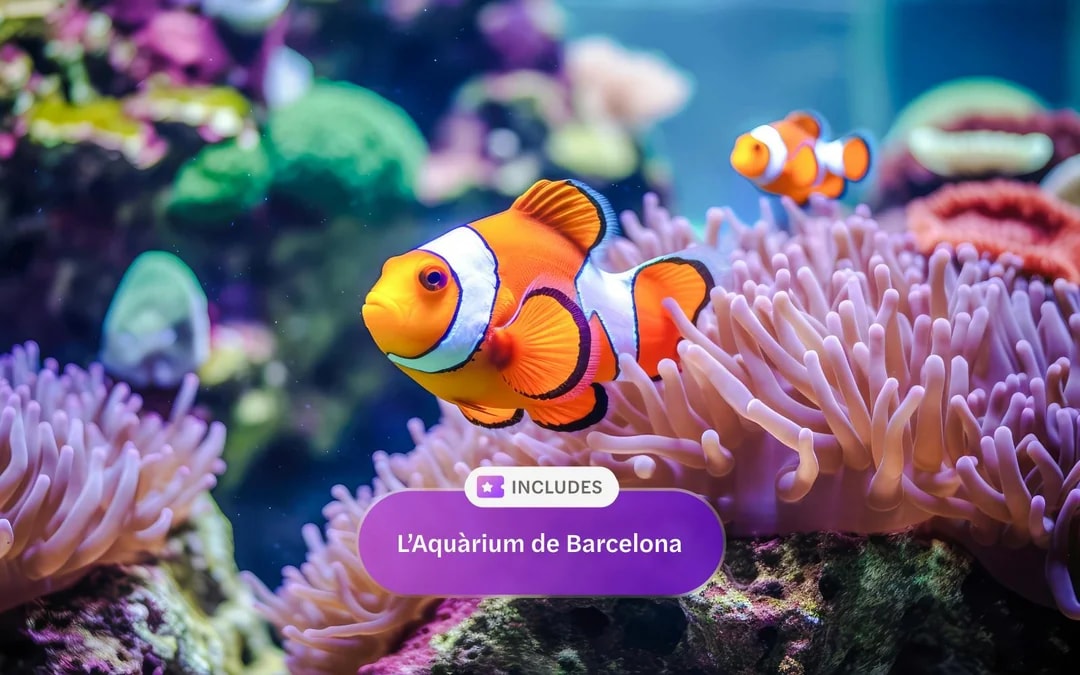 Go City Barcelona Explorer Pass: Choose from 45 Attractions Image 8