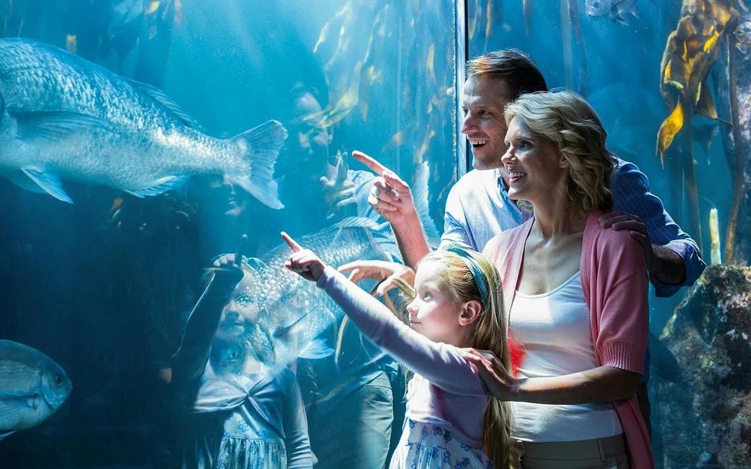 Go City Chicago All-Inclusive Pass: Choose from 39 Attractions Image 8