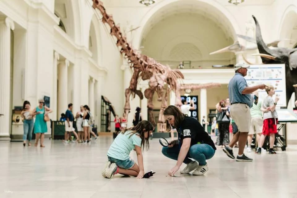 Go City | Chicago Explorer Pass (Optional Attractions)