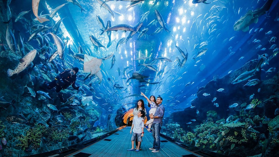 Family observing marine life in Dubai Aquarium tunnel.