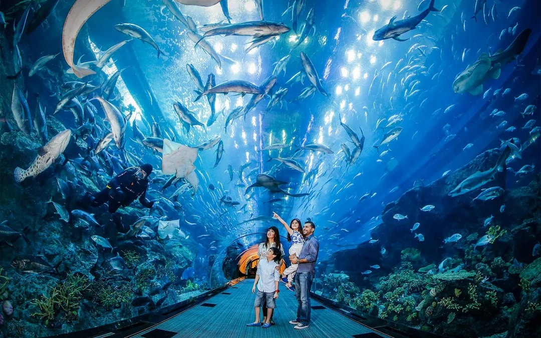 Go City Dubai All-Inclusive Pass: Choose 2 to 7-Day Pass Image 4
