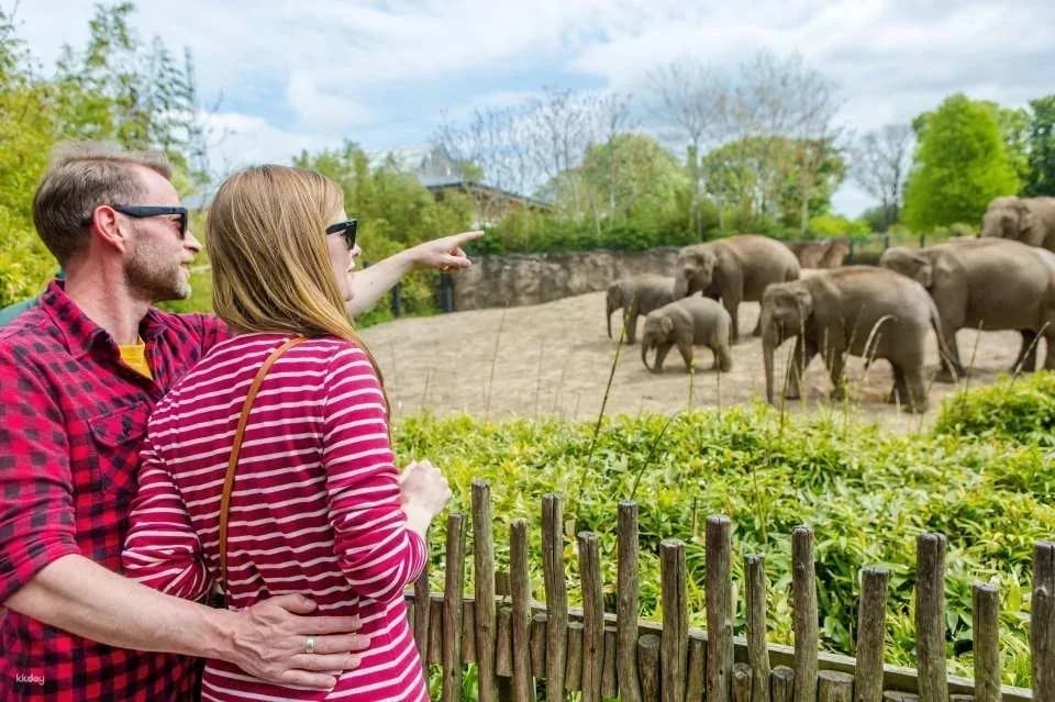 Go City | Dublin Essentials Pass: Visit 3 Top Attractions