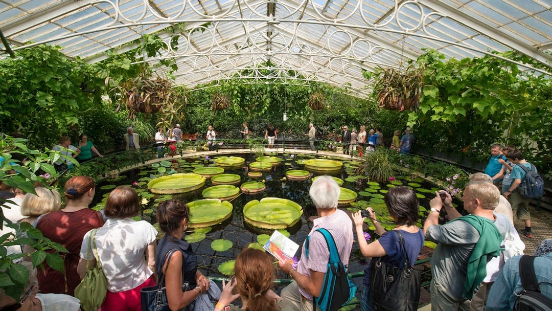 Visitors exploring the Waterlily House at Kew Gardens, London.