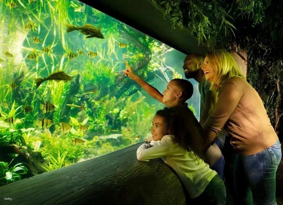 Go City | London Explorer Pass (Includes The Shard, Tower of London & 90+ Things to Do)
