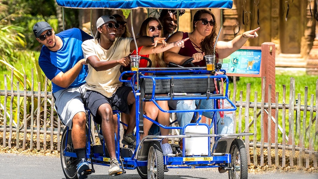 Adults enjoying a group safari cycle ride, pointing at attractions.
