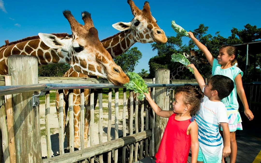 Go City Miami All-Inclusive Pass: Choose from 35 Attractions Image 9