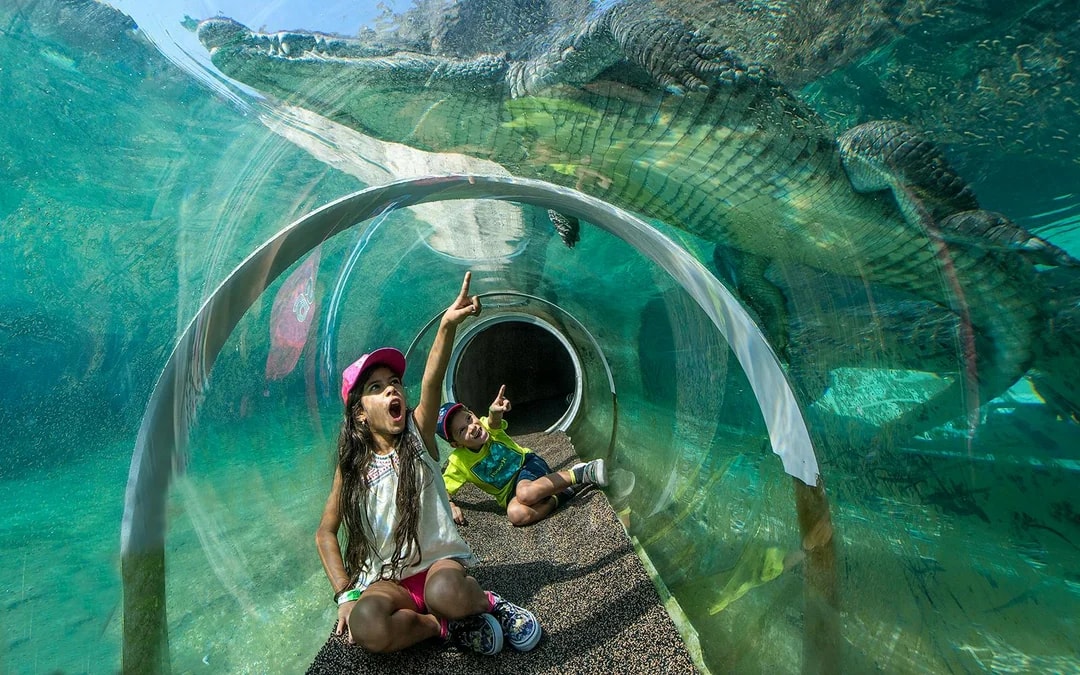 Go City Miami All-Inclusive Pass: Choose from 35 Attractions Image 10