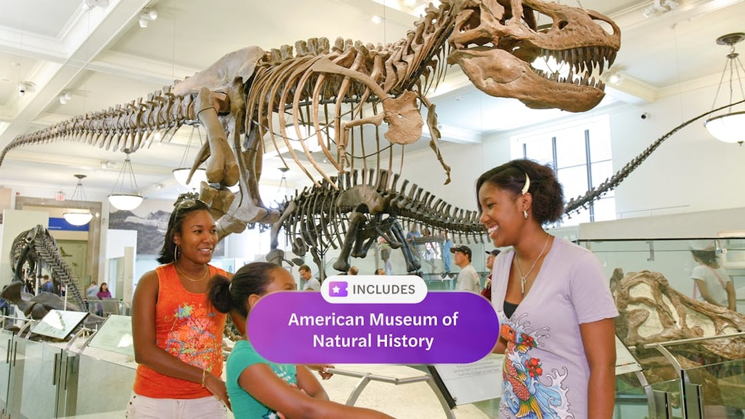 American Museum of Natural History dinosaur exhibit with visitors in New York.