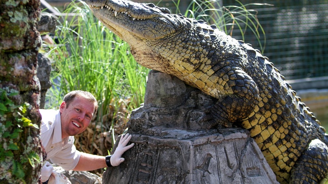 Crocodile encounter at a wildlife park in Orlando, part of the Orlando Explorer Pass.