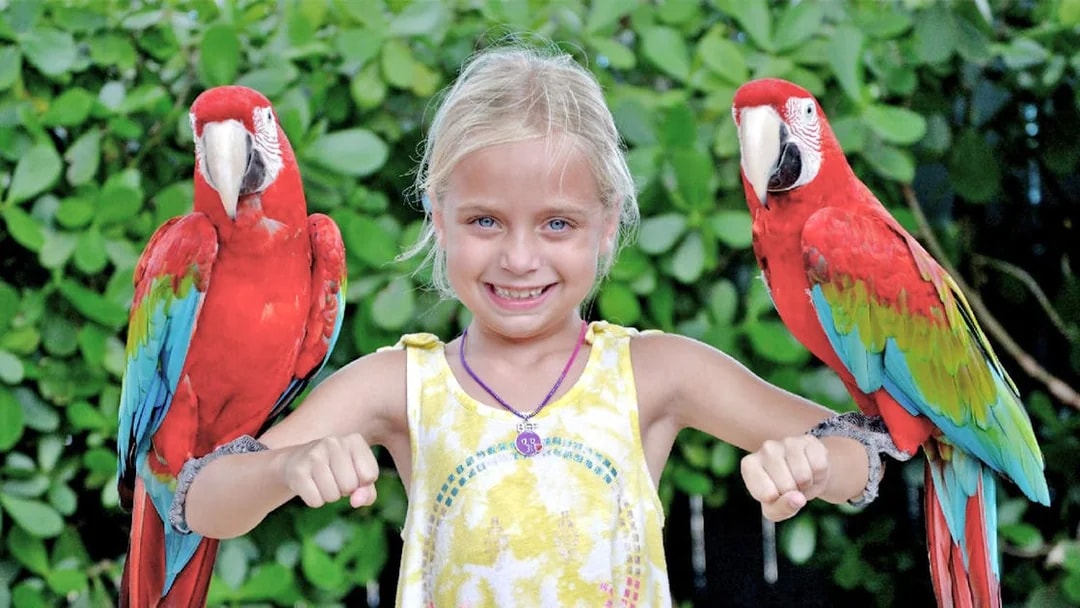 Child with two colorful parrots on arms, Orlando Explorer City Pass experience.