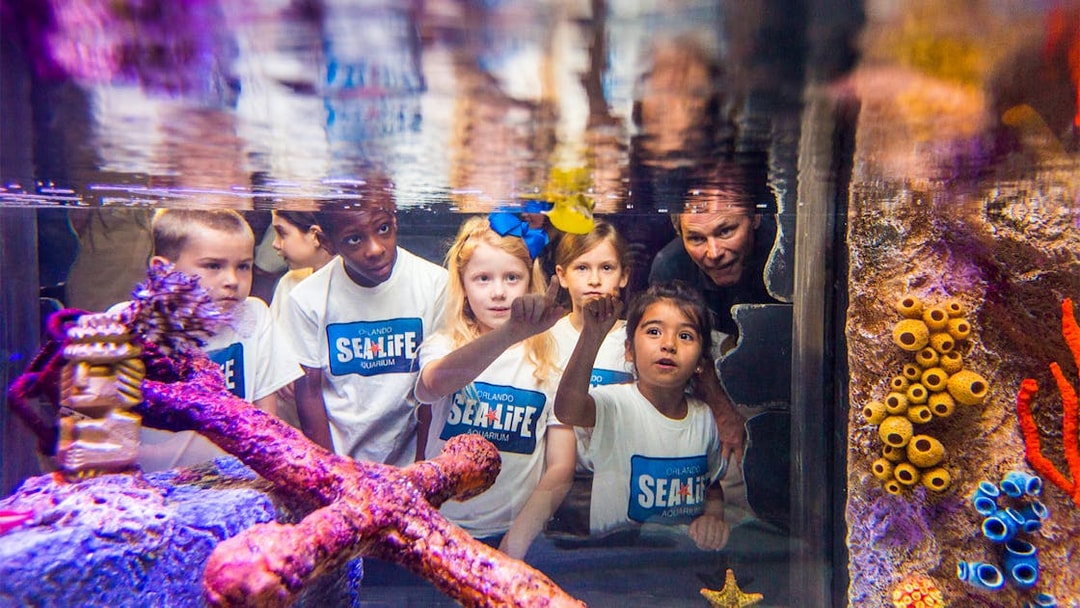 Children exploring an aquarium exhibit at SEA LIFE Orlando with the Orlando Explorer Pass.