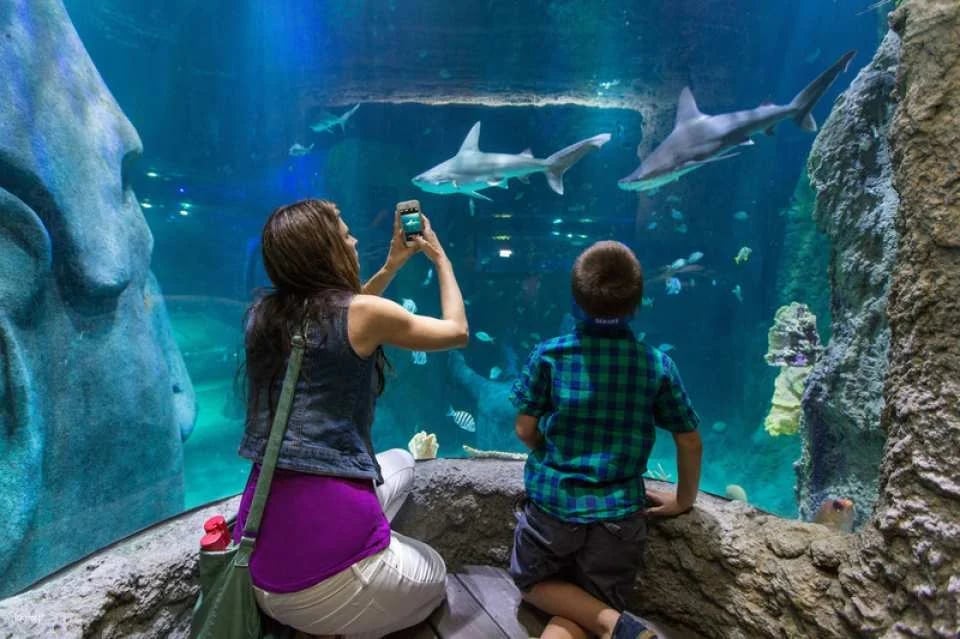 Go City | Orlando Explorer Pass (Optional Attractions)