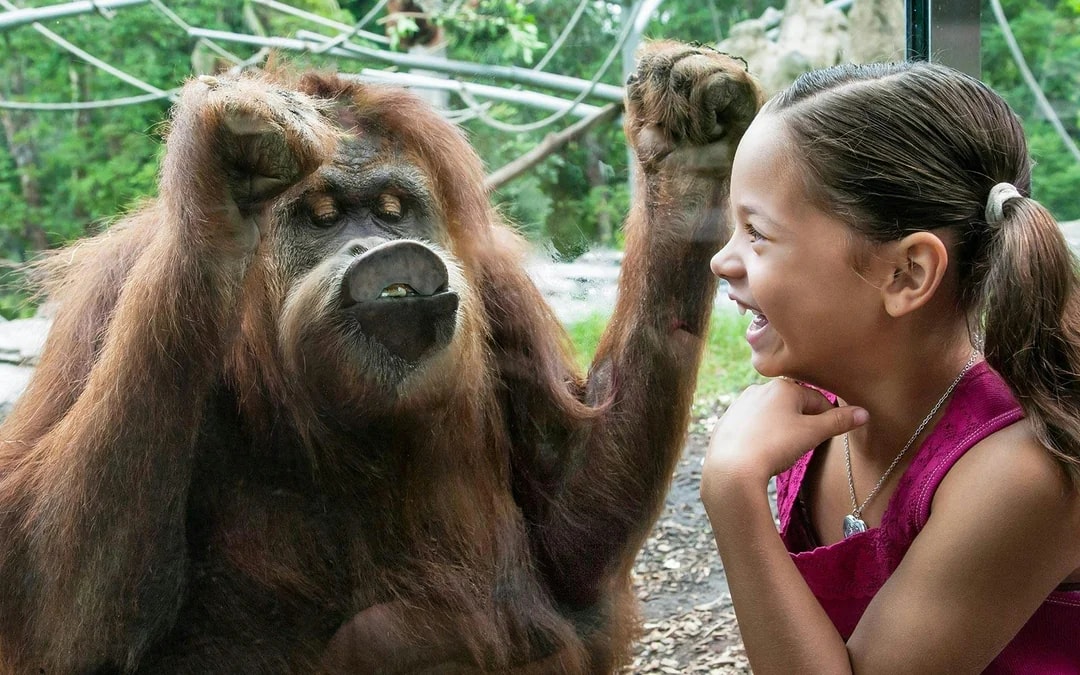 Go City San Diego Explorer Pass: Choose 2 to 7 Attractions Image 11