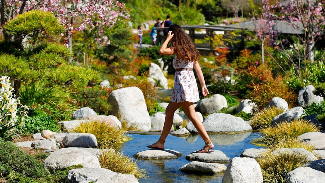 Woman crossing stepping stones in a Japanese garden, San Diego.