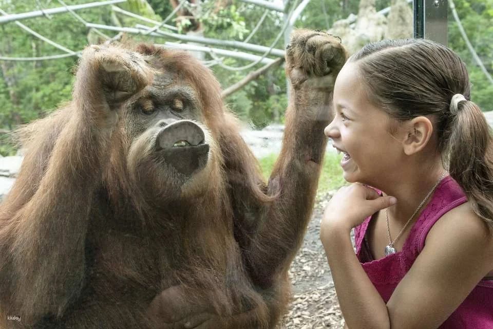 Go City | San Diego Explorer Pass (Optional Attractions)