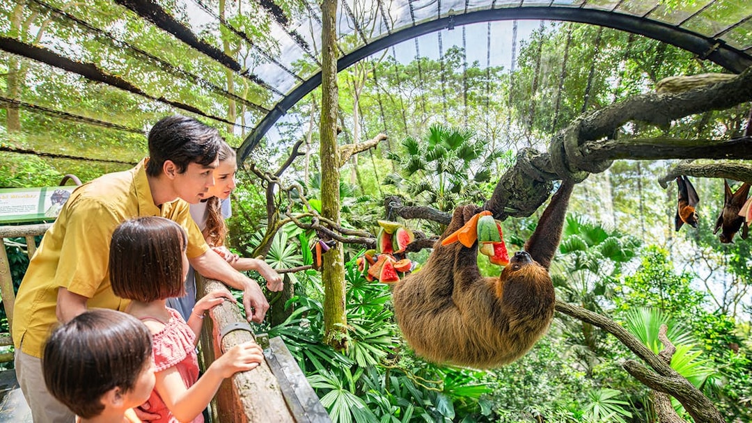 Family observing a sloth eating fruit at Singapore Zoo.