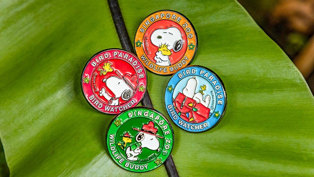 Snoopy Beagle Scouts badges from Singapore Zoo and Bird Paradise on a leaf.