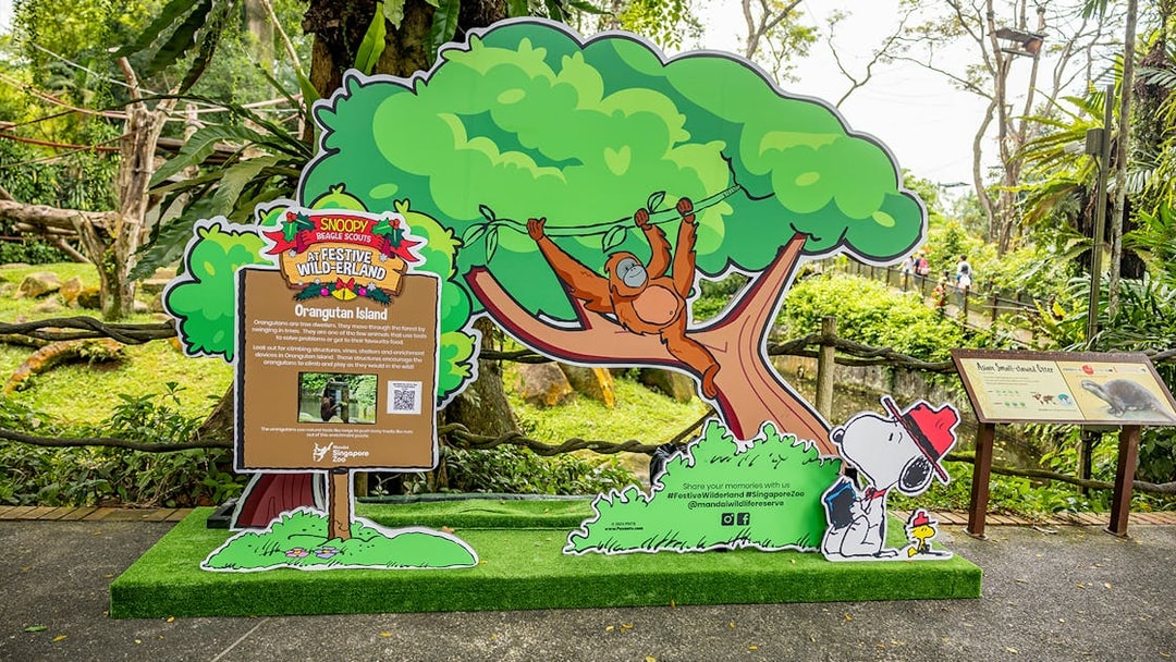 Orangutan Island display with Snoopy and Beagle Scouts at Singapore Zoo.