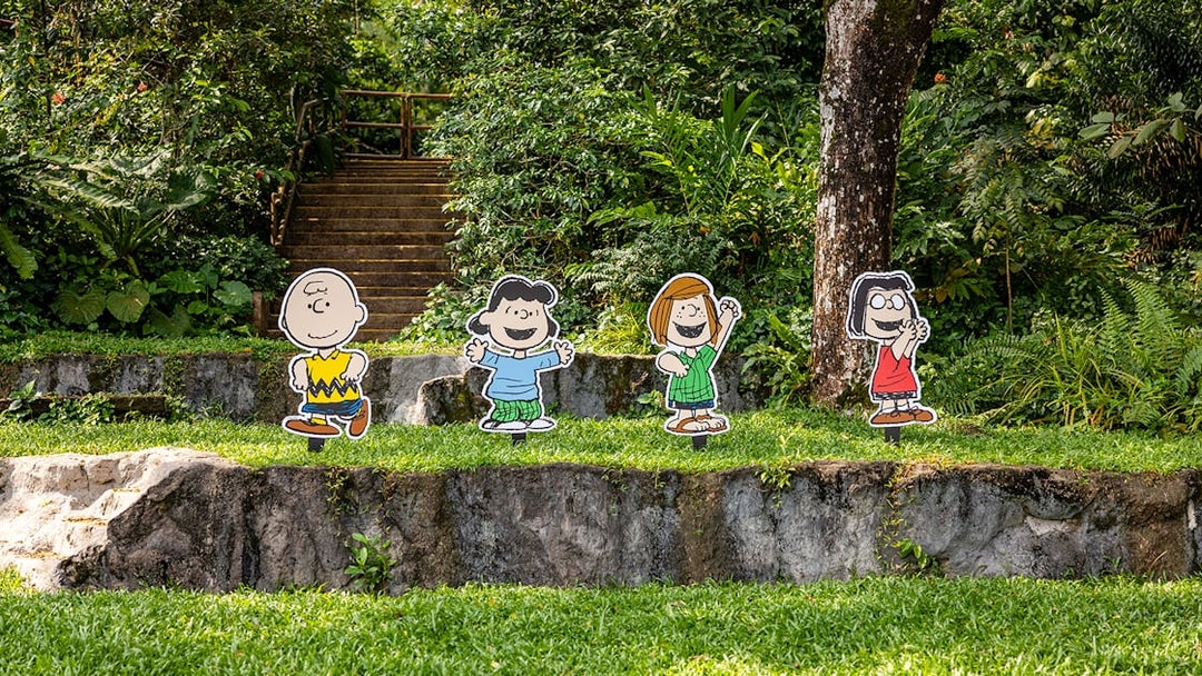 Snoopy and Beagle Scouts characters at Singapore Zoo garden setting.