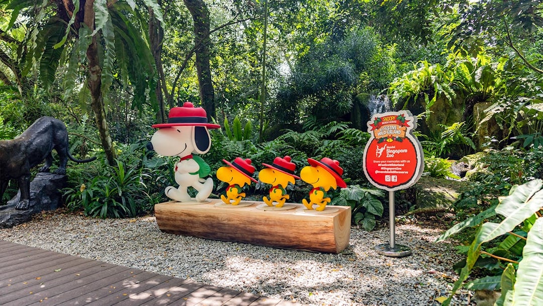 Snoopy and Beagle Scouts statues at Singapore Zoo amidst lush greenery.
