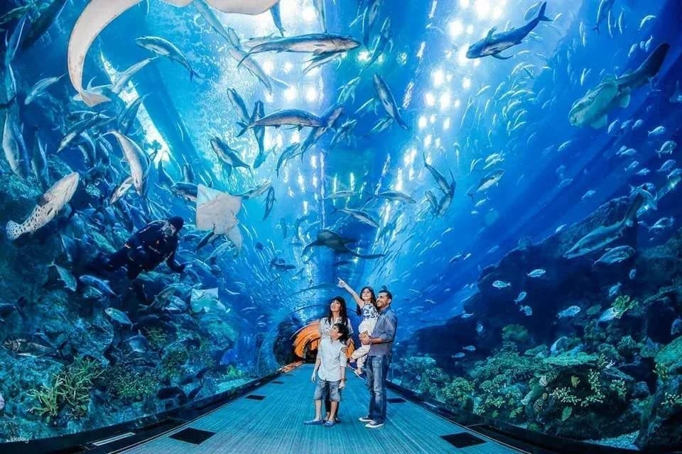 Go City | United Arab Emirates Dubai Explorer Pass (Optional Attractions)