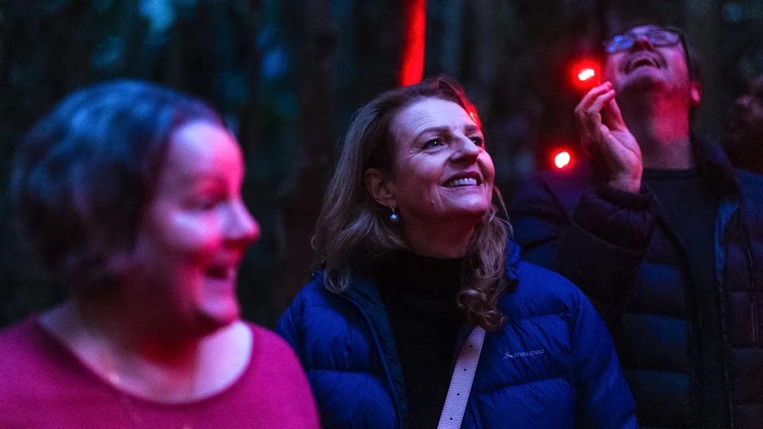 Visitors enjoying the Evening Rainforest & Glow Worm Experience.